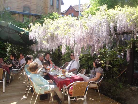 Biergartenblüte